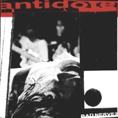 Bad Nerves - Antidote