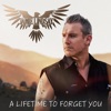 A Lifetime To Forget You - Single