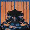 Somos Iguales - Single album lyrics, reviews, download