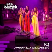 Awuwa zij wil dansen (uit Liefde Voor Muziek) [Live] artwork