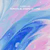 Stream & download Sonata Al Chiaro Di Luna - Single