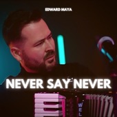 Never Say Never artwork