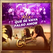 Mix: Que Se Vaya / Falso Amor artwork