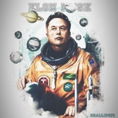 Elon Musk artwork