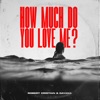 How Much Do You Love Me? - Single