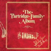 The Partridge Family - I Think I Love You