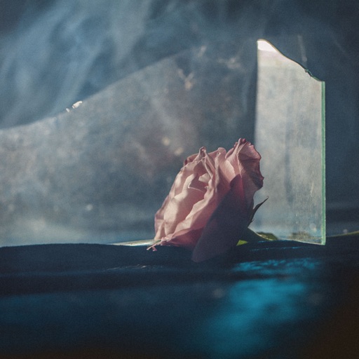 Album artwork