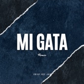 Mi Gata (Remix) artwork