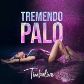 Tremendo Palo artwork