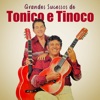 Grandes Sucessos de Tonico e Tinoco