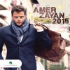 Amer Zayan 2015