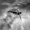 Umar Keyn - Fly To Me