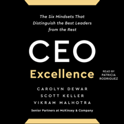 CEO Excellence (Unabridged)