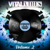 Vital Vibes, Vol. 2 - EP - Vital Techniques