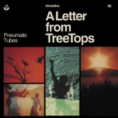 Pneumatic Tubes - TreeTops