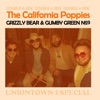 Grizzly Bear & Gumby Green No. 3 - Single