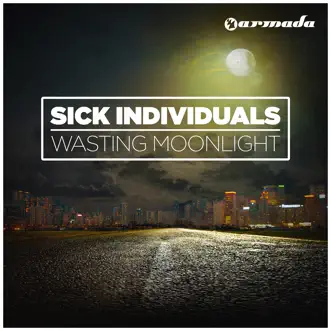 Wasting Moonlight (Radio Edit) by Sick Individuals song reviws