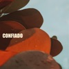 Confiado - Single