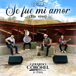 Se Fue Mi Amor (En Vivo) - Single by Gerardo Coronel album reviews, ratings, credits