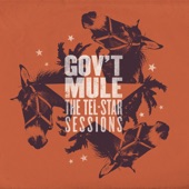 Gov't Mule - Just Got Paid