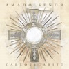 Amado Señor - Single