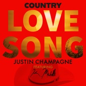 Country Love Song artwork