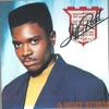 A Quiet Storm (Expanded Edition), 1990