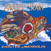 Painted Mandolin - Bird Dreams