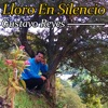 Lloro En Silencio - Single