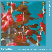 breathe (guided breathwork edition) artwork