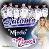 Miedo (feat. Vianey) - Single album lyrics, reviews, download