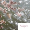 Sakura - EP