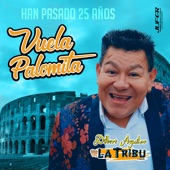 Vuela Palomita, Han Pasado 25 Años artwork