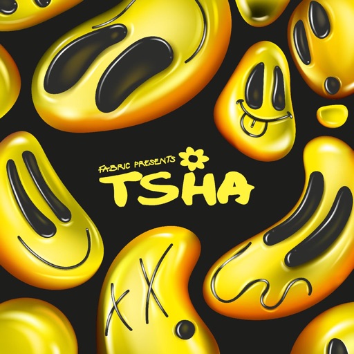 Boyz - Single by TSHA