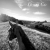 Don't Go - Single