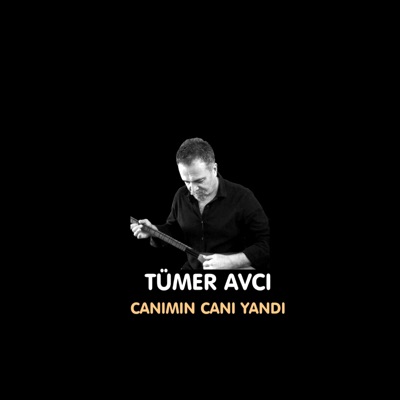 Cani Yandi