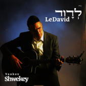 לדוד Ledavid - Yaakov Shwekey