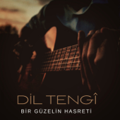 Bir Güzelin Hasreti (Yandı Ha Yandı) - Dil Tengi