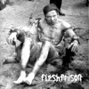fleshprison - Without a Pack
