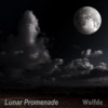 Wolfde - Tycho