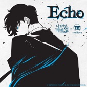 Echo artwork