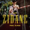 Zidane - Single