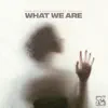 What We Are (feat. Gina Livia) - Single album lyrics, reviews, download