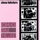 Close Lobsters - I Kiss the Flowers in Bloom