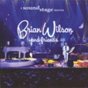 Brian Wilson and Friends