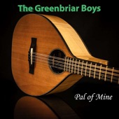 The Greenbriar Boys - Stewball
