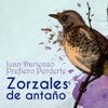 Zorzales de Antaño - Juan Darienzo - Prefiero Perderte