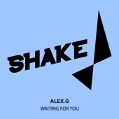 Waiting for You by Alex G