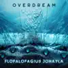 Stream & download Flopalopagius Jonayla - Single