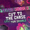 Cut to the Chase - Single